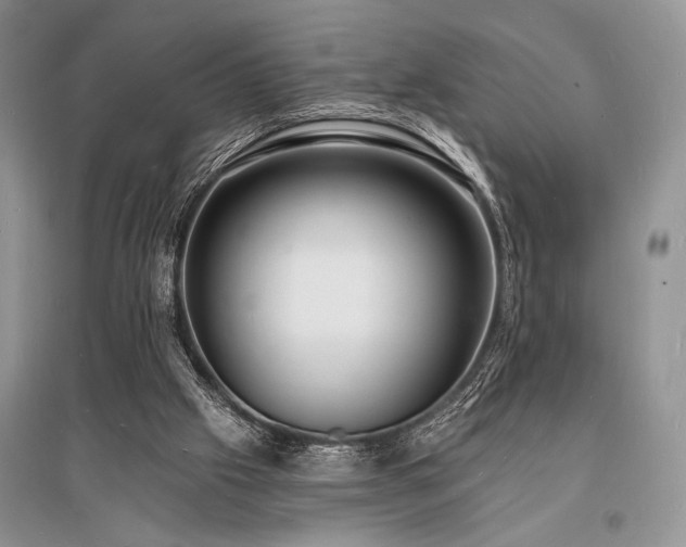 X0000096390057200801241312