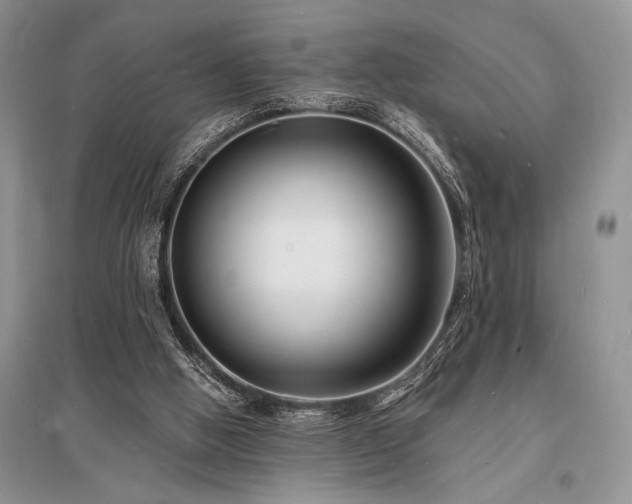 X0000096390058200801241312