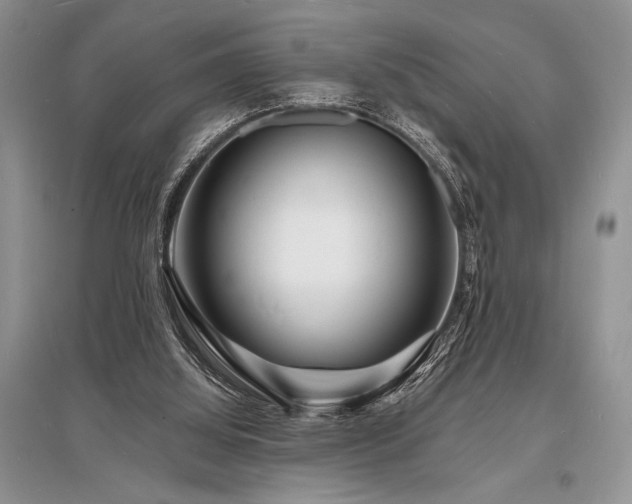 X0000096390060200801241312