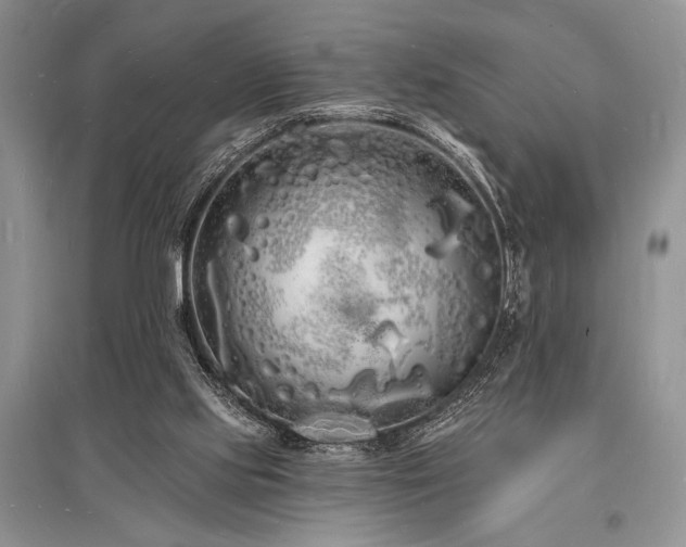 X0000096390061200801241312