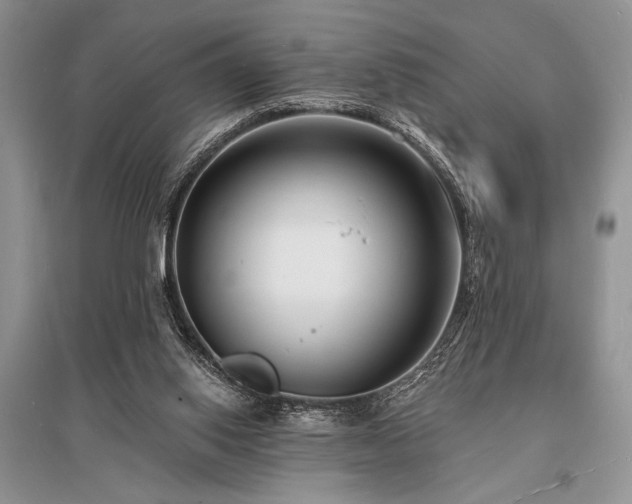 X0000096390062200801241312