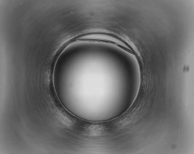 X0000096390063200801241312