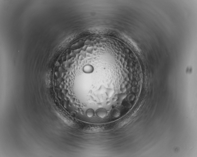 X0000096390065200801241312