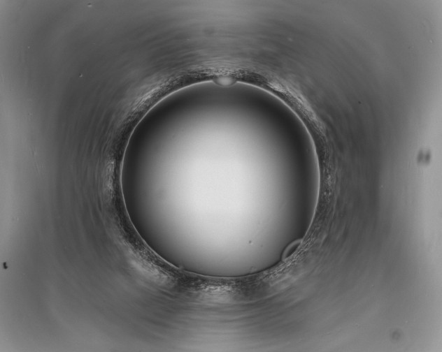 X0000096390066200801241312