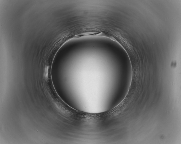X0000096390070200801241312