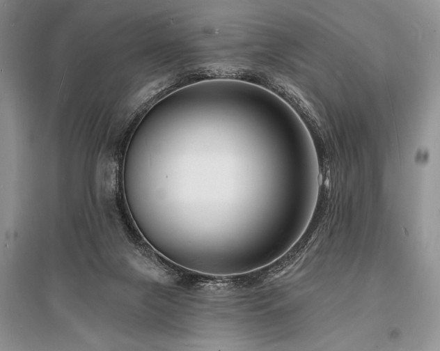 X0000096390071200801241312