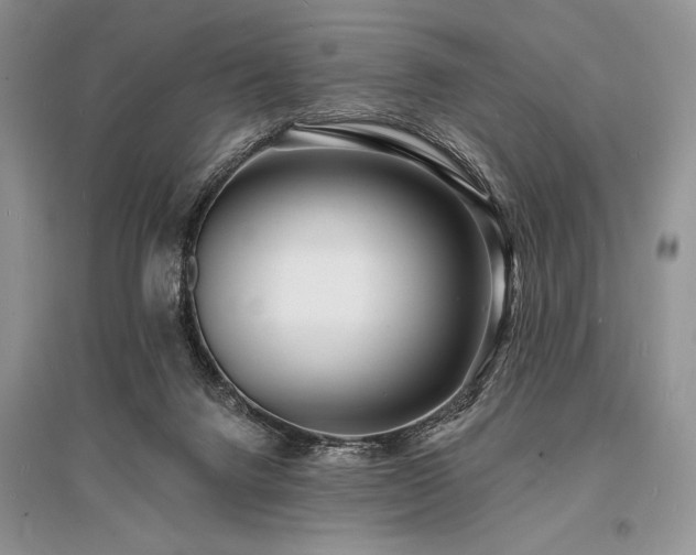 X0000096390072200801241312