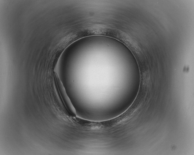 X0000096390073200801241312
