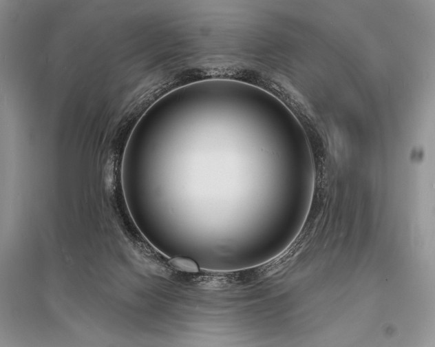 X0000096390074200801241312