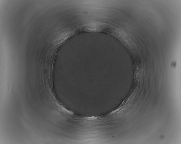 X0000096390076200801241312