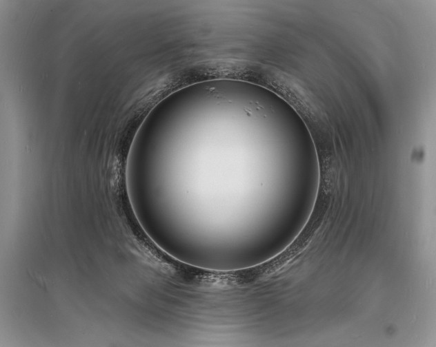X0000096390077200801241312
