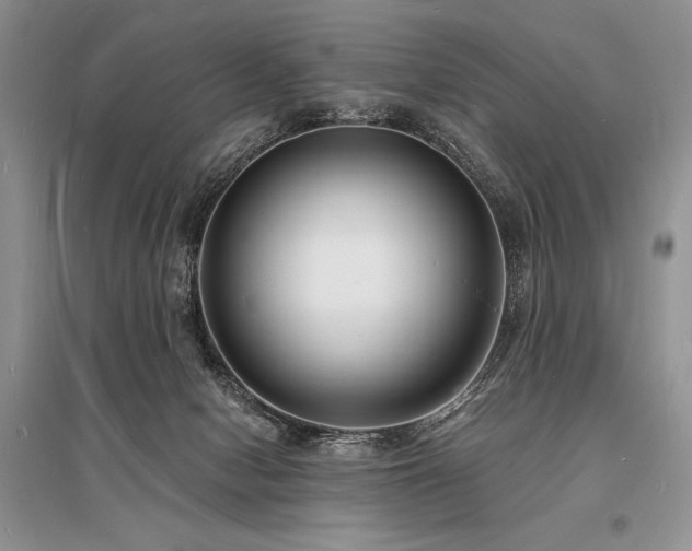 X0000096390078200801241312