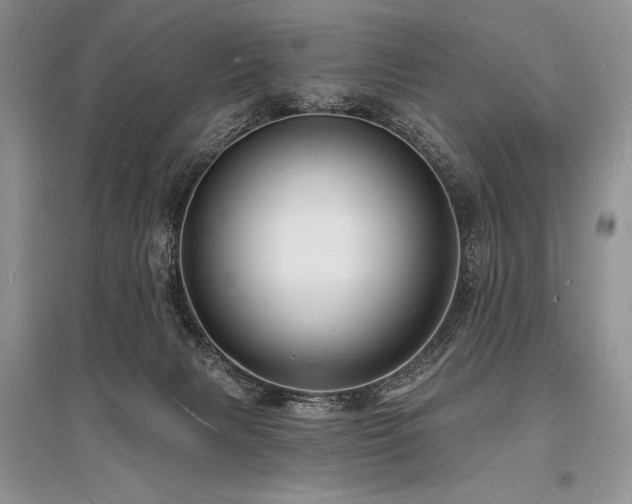 X0000096390079200801241312