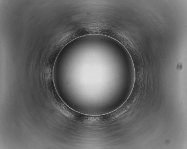 X0000096390081200801241312