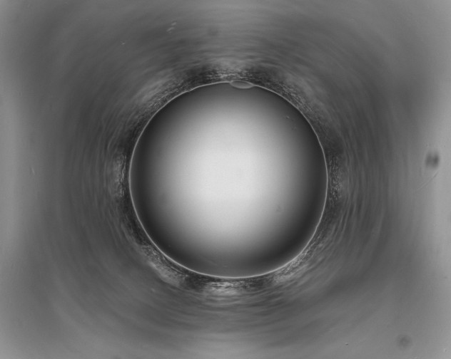 X0000096390082200801241312