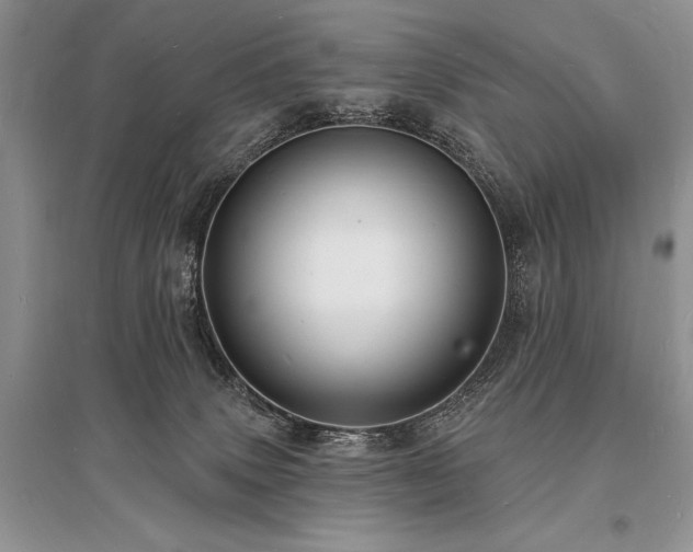 X0000096390083200801241312