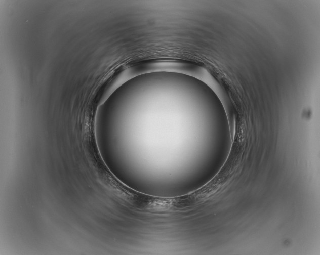 X0000096390084200801241312