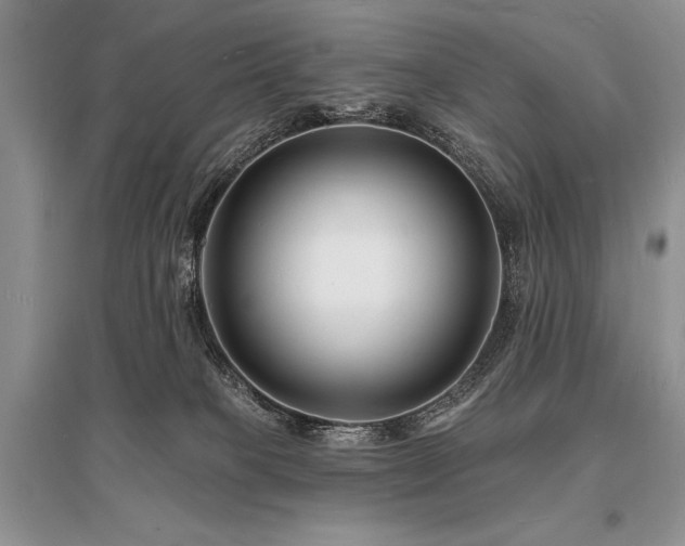 X0000096390085200801241312