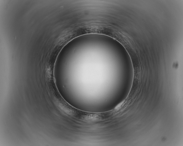 X0000096390086200801241313