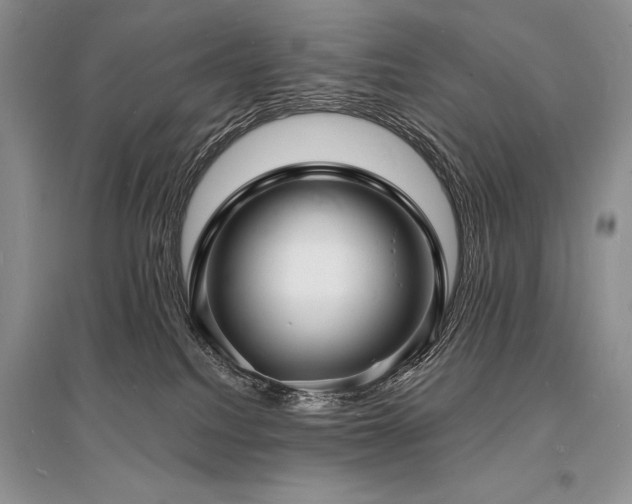 X0000096390088200801241313