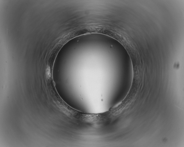 X0000096390089200801241313