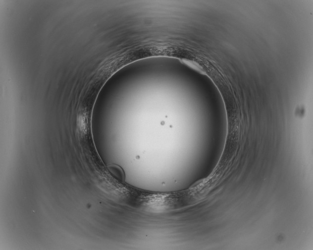 X0000096390090200801241313