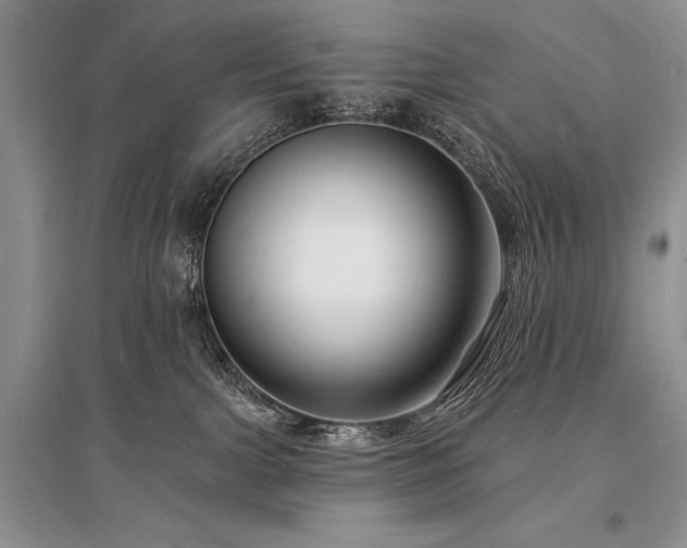 X0000096390091200801241313