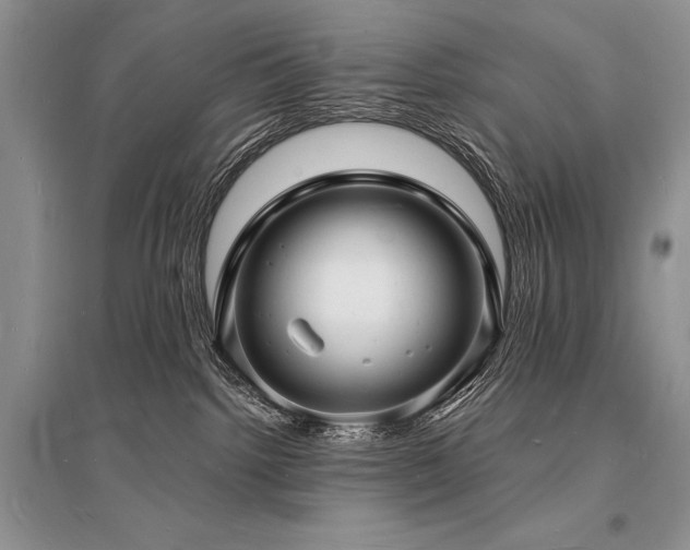 X0000096390092200801241313