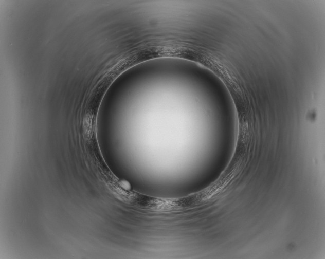 X0000096390093200801241313