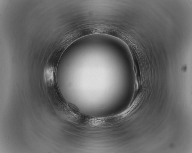 X0000096390094200801241313