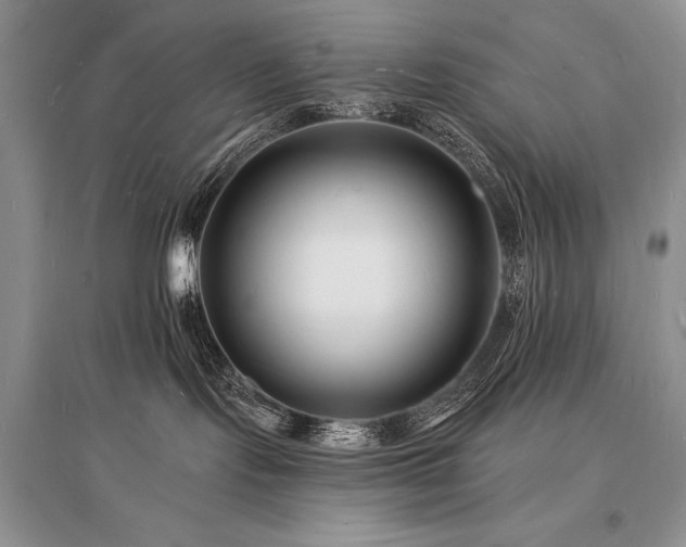 X0000096390095200801241313