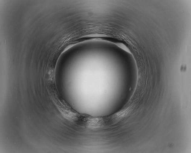 X0000096390096200801241313