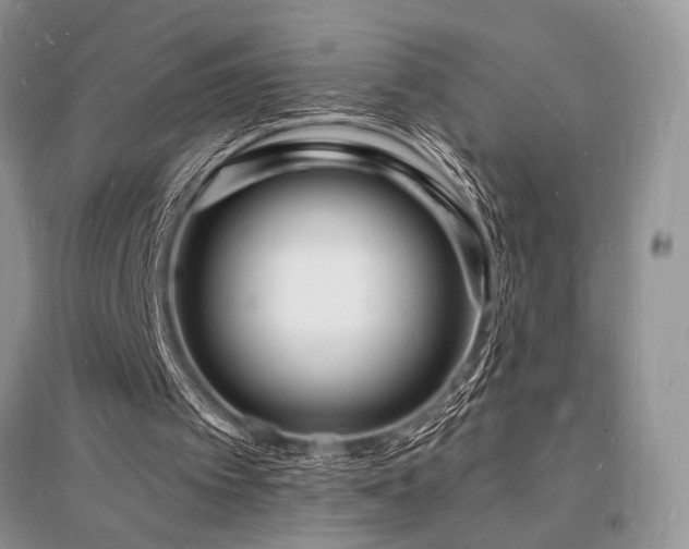 X0000096390097200801241312