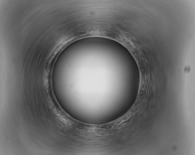 X0000096390098200801241312