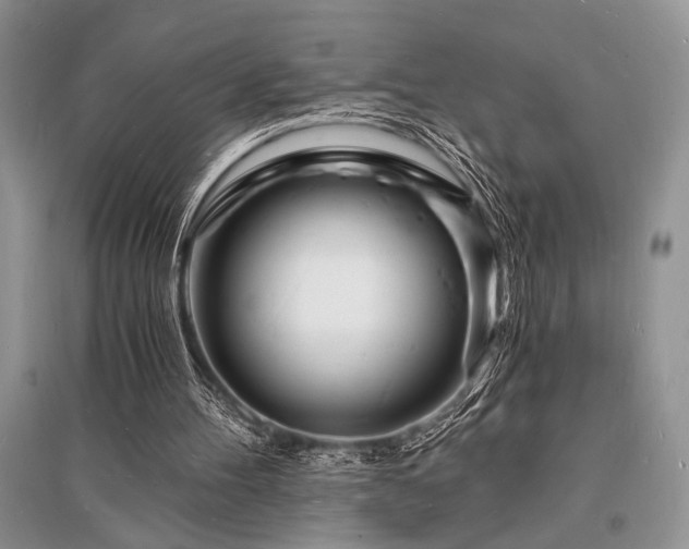 X0000096390100200801241312