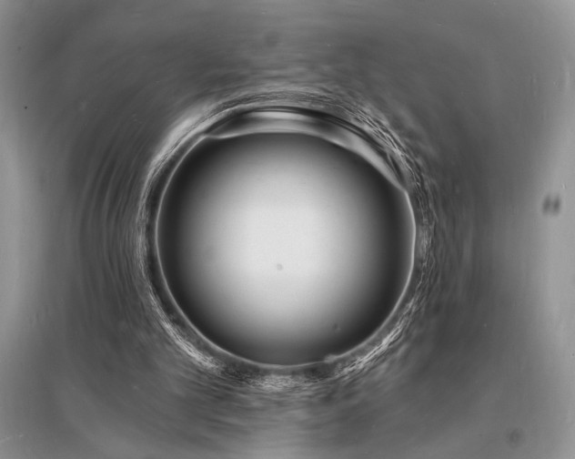 X0000096390101200801241312