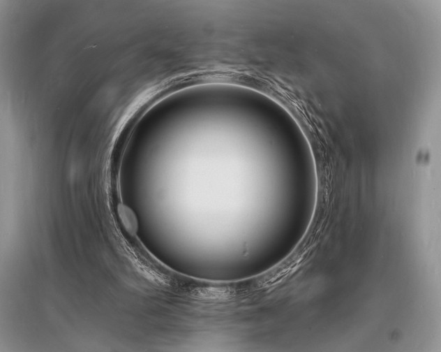 X0000096390102200801241312