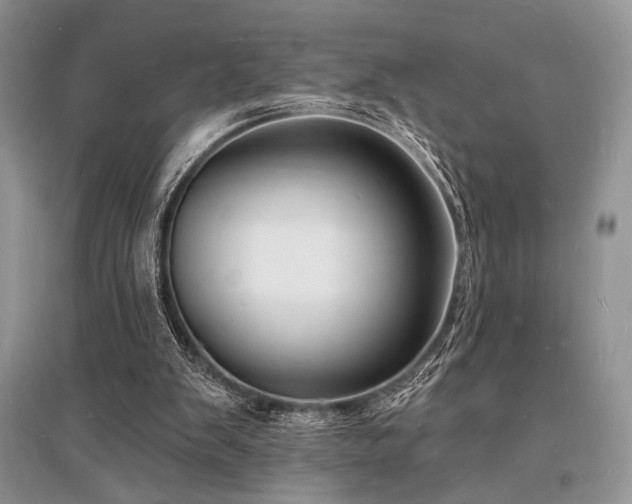 X0000096390103200801241312
