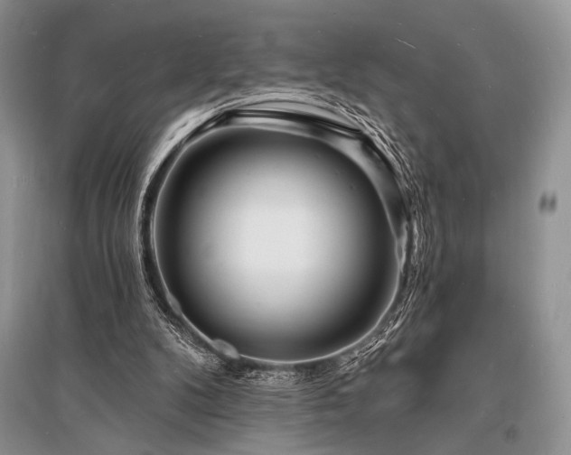 X0000096390104200801241312