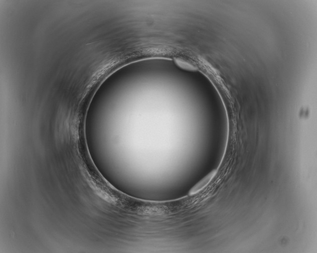 X0000096390106200801241312