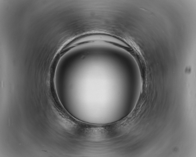 X0000096390108200801241312