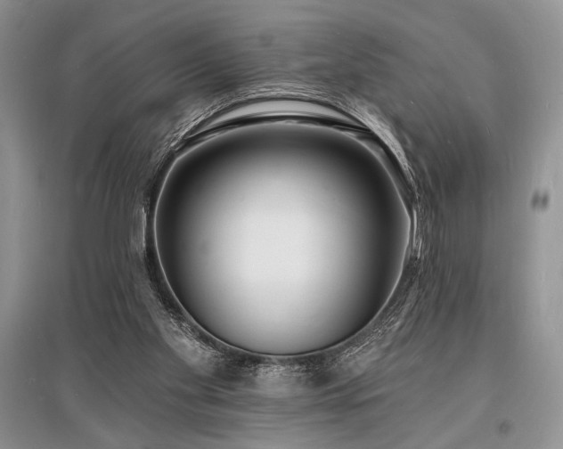 X0000096390109200801241312