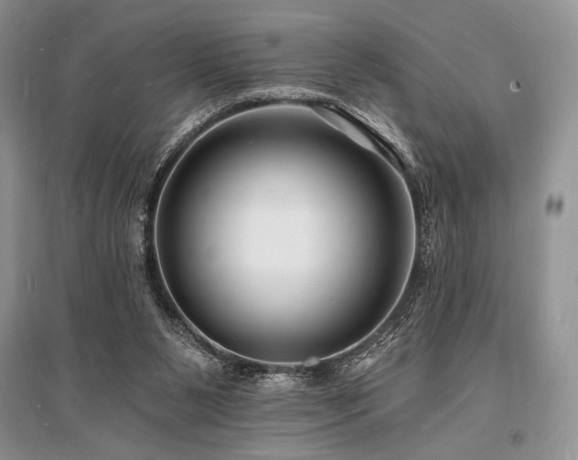 X0000096390111200801241312