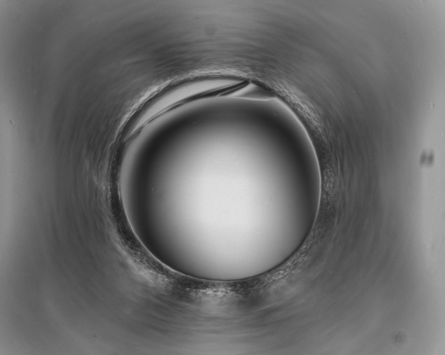 X0000096390112200801241312