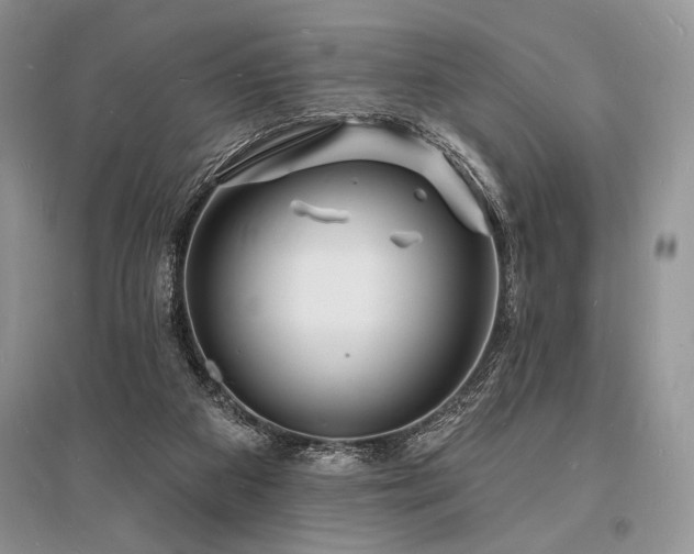X0000096390113200801241312
