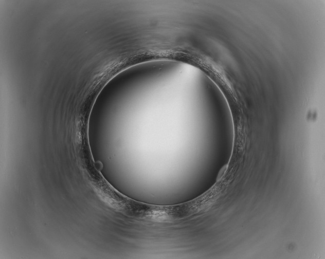 X0000096390114200801241312