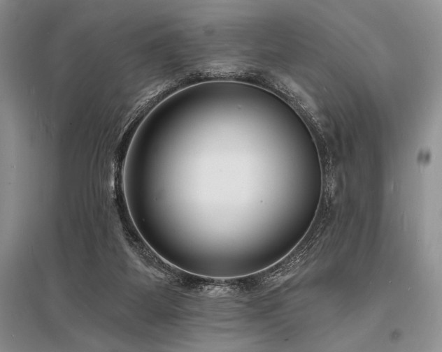 X0000096390115200801241312