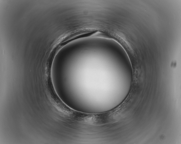 X0000096390116200801241312