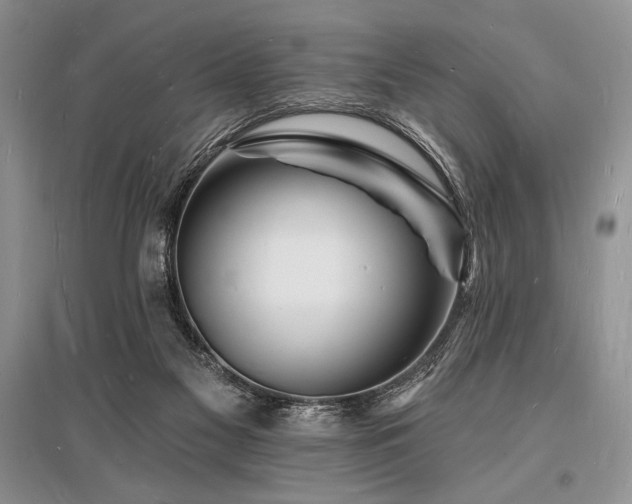 X0000096390117200801241312