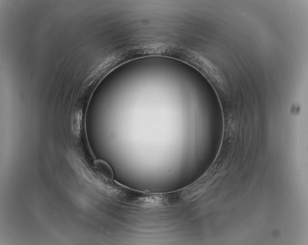 X0000096390118200801241312